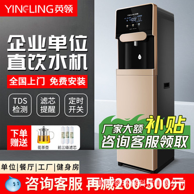 英领净水器立式商用直饮水机RO反渗透过滤冰水加热一体机净水器