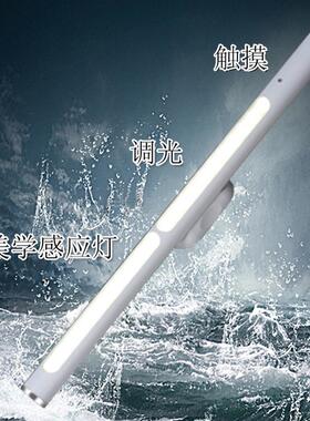 18004圆管led无线感应灯橱柜衣柜床头壁灯即装即取手持式小夜灯