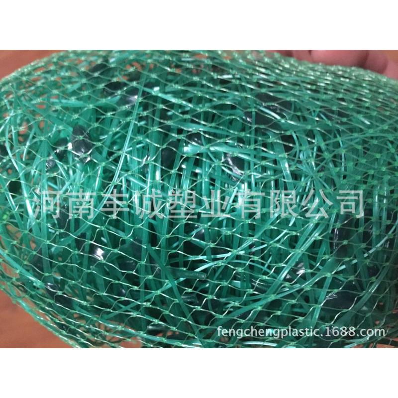 供应大卷爬藤网豆角网瓜网黄瓜网植物爬藤吊搭架子网