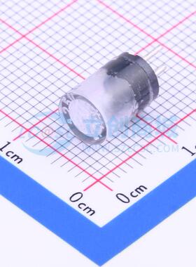 一次性保险丝 0273.062V 插件 原装正品 电子元器件配单