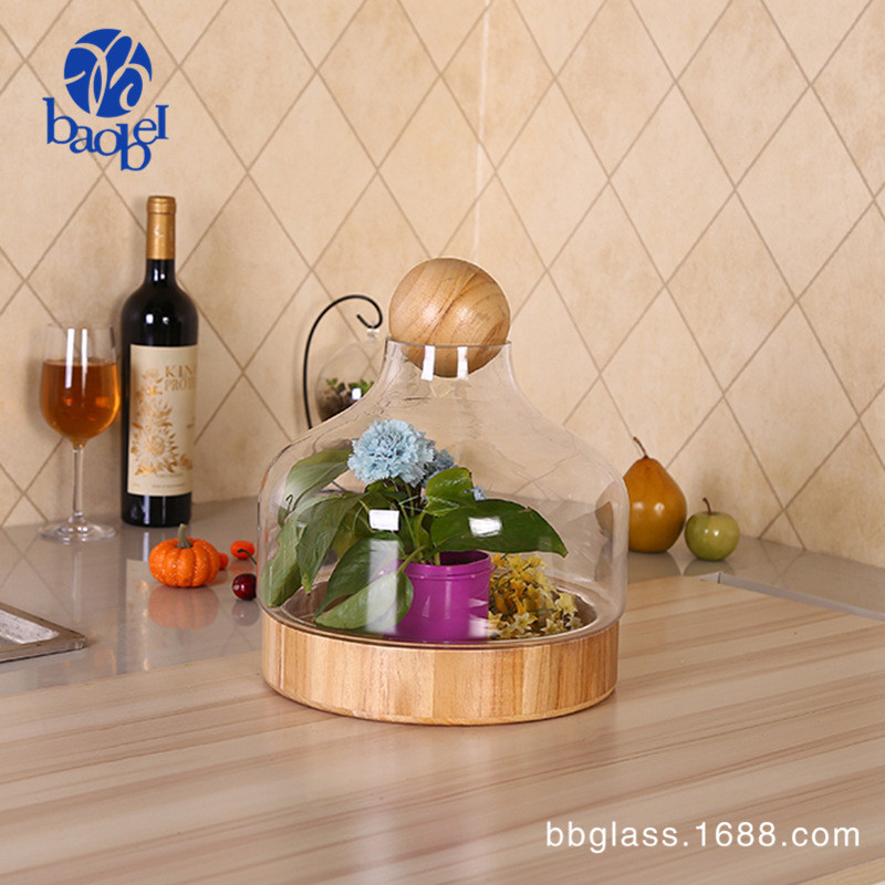 bbglass装饰品圆木球透明玻璃罩微景观玻璃花房实木底座花艺摆件