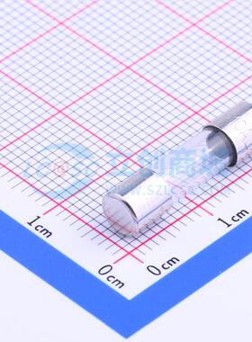 一次性保险丝 0617010.MXP D5.2xL20mm 原装正品 电子元器件配单
