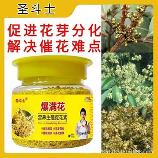 爆满花花满球专用催花素促进授粉开花花芽分化妃子笑荔枝龙眼枇杷