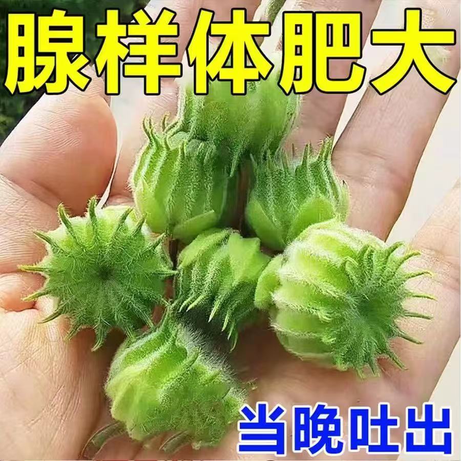 儿童腺样体贴面容扁桃体鼻焱肥大肿大中药矫正器腺体调理药保健贴