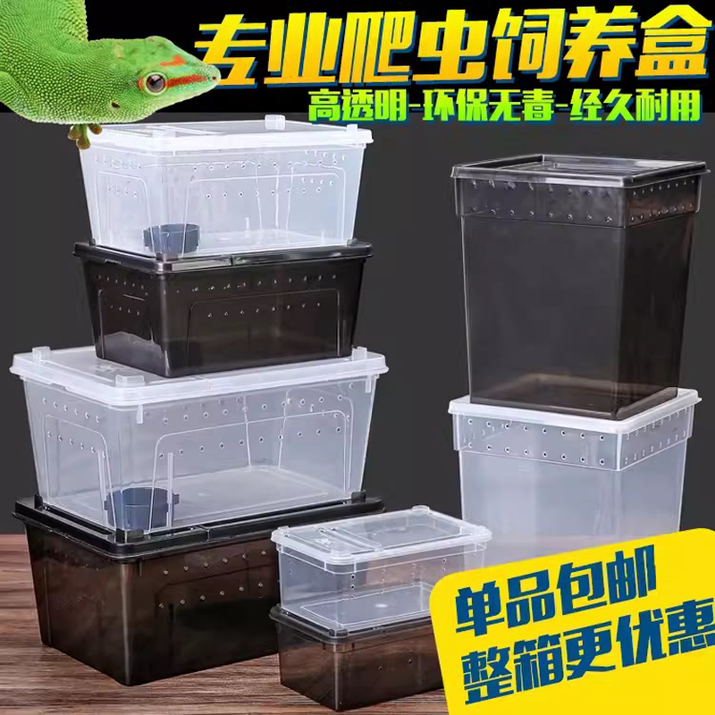 蚕宝宝专用盒昆虫饲养盒爬虫盒玉米箱乌龟缸角蛙守宫蜗牛养蚕盒子