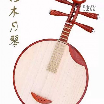 SRR专业花梨木硬木月琴初学考级演奏用月琴民族弹拨乐器