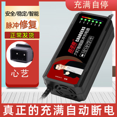 适用新国标心艺可人电动车充电器48V20AH60V72V20AH凤凰两针充电
