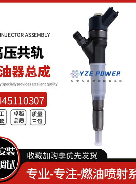 小松PC130-8/PC70-84D95挖机喷油器0445110307喷油器柴油