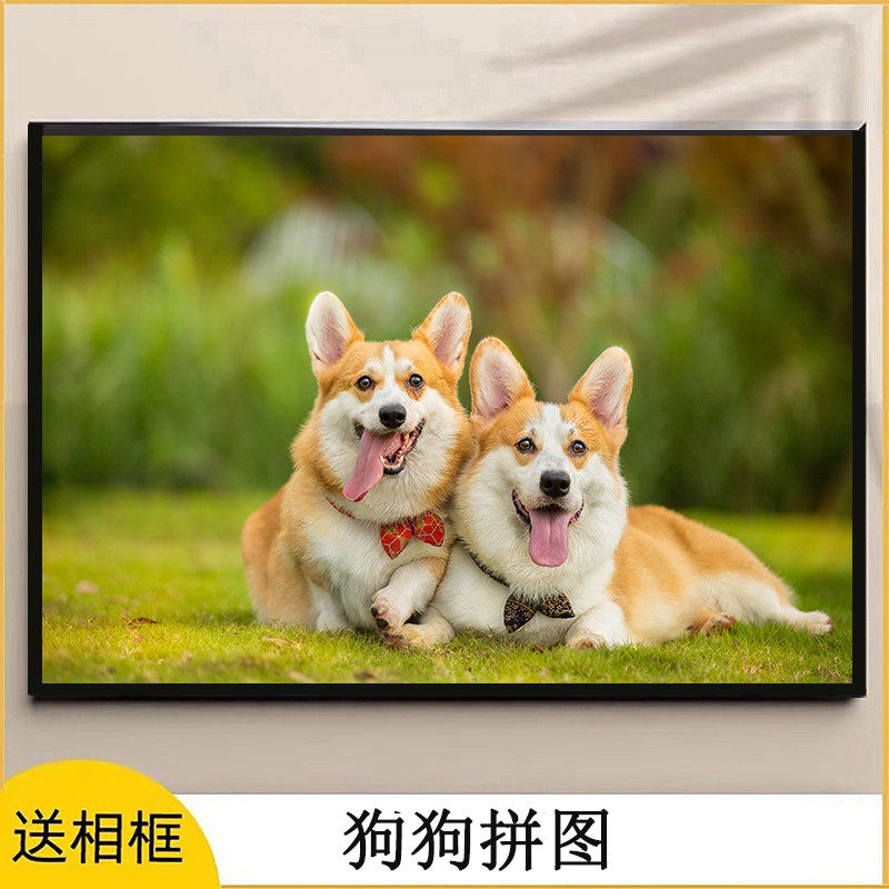 狗狗拼图300片500块1000柯基犬动物男女孩子儿童益智减压解闷玩具