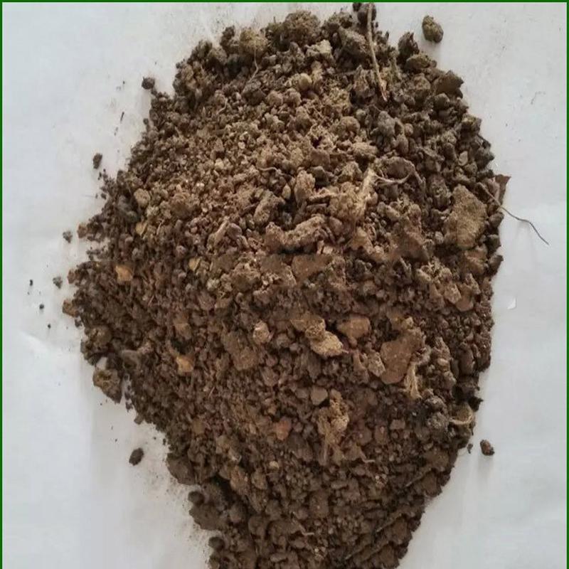 批发用鸡粪有机肥丰地发酵鸡粪有机肥纯鸡羊粪颗粒肥料厂家茶树