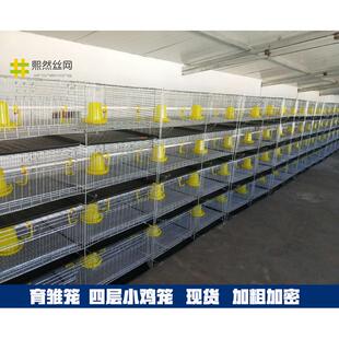小鸡育雏笼加密小鸡笼子养殖育雏苗兔笼养殖场多功能小鸡仔饲养箱