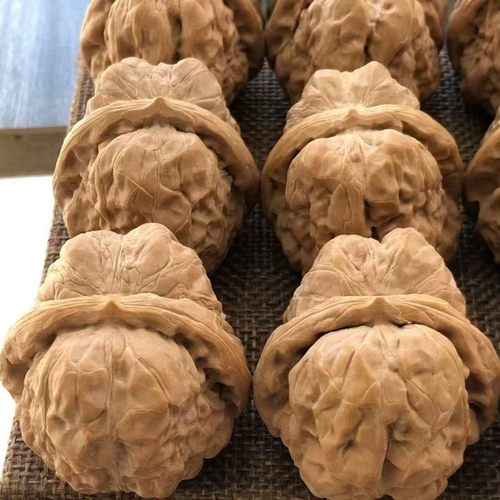 金蟾大肚蛤蟆头四面开背有腿有眼大肚金蟾蛤蟆头