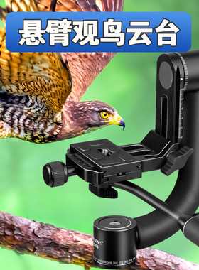 佳鑫悦悬臂云台观鸟长焦大炮摄影摄像单反相机三脚架全景吊臂打鸟