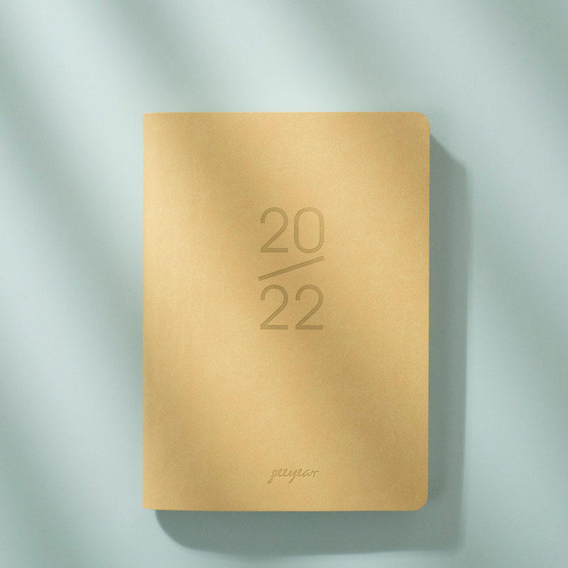 2022日程本日计划本自律打卡本计划表手账本记事本两天一页日历每