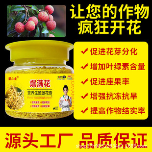 爆满花花满球专用催花花芽分化促进素开花授粉妃子笑荔枝龙眼枇杷