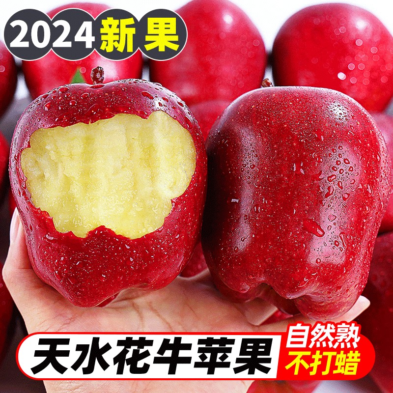 速发正宗甘肃天水花牛苹果包邮新鲜水果当季苹果旗舰店蛇平果粉面