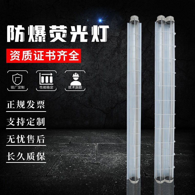 LED防爆灯管防水防尘防爆单双管灯仓库灯防爆日光灯长条支架