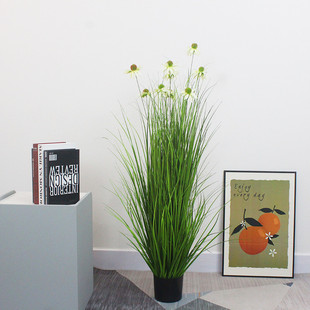 北欧芦苇草仿真花松果菊落地服装店客厅摆件装饰仿真植物绿植盆栽