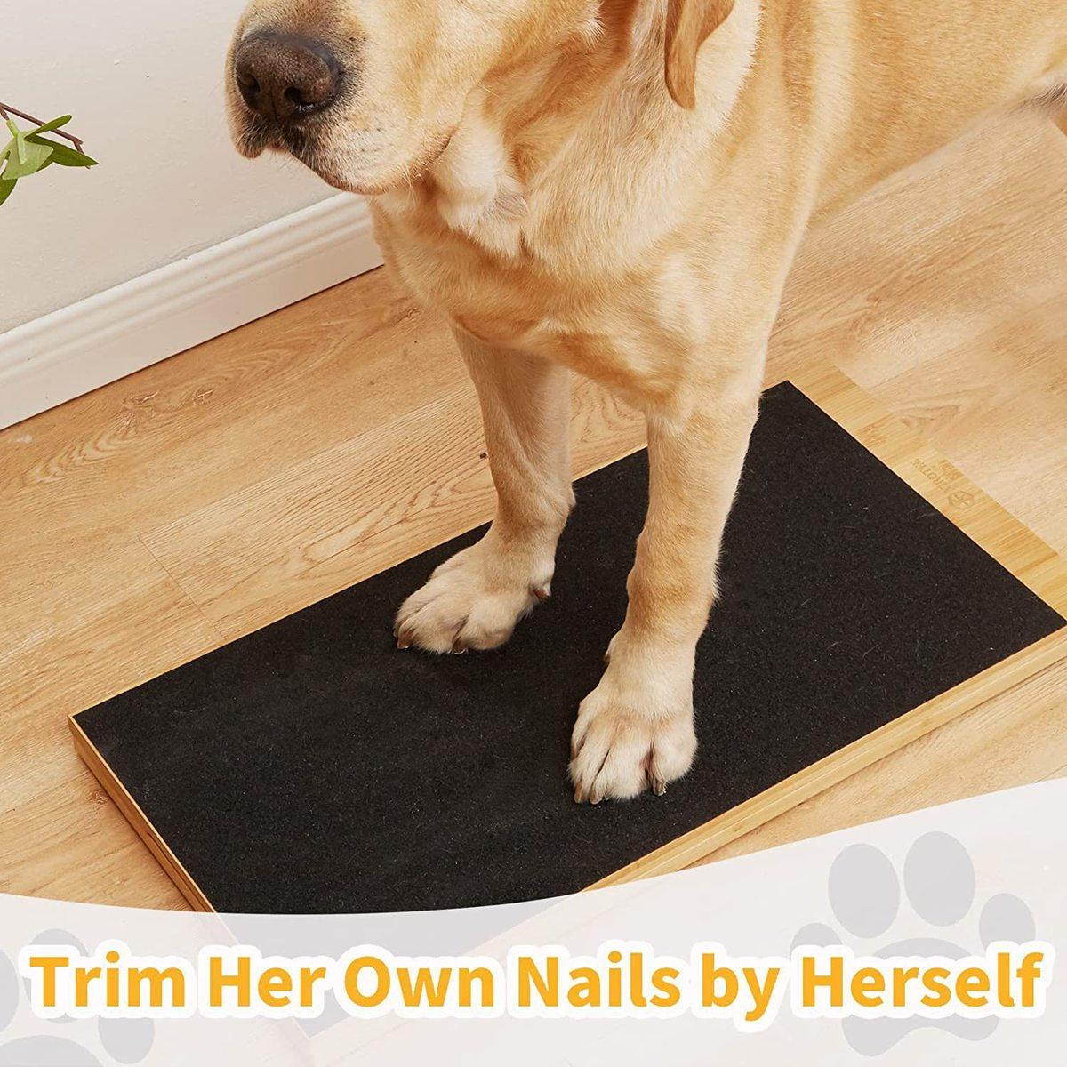 狗狗斜坡磨爪刮板简约狗狗刮板小型宠物狗爪锉刮板宠物斜坡道,宠物/宠物食品及用品,兔兔玩具,淘宝优惠券,粉丝福利购,淘宝优惠卷