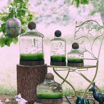 生态鱼瓶大肚子小口鱼缸玻璃鱼缸微景观水草自循环办公桌具阳台