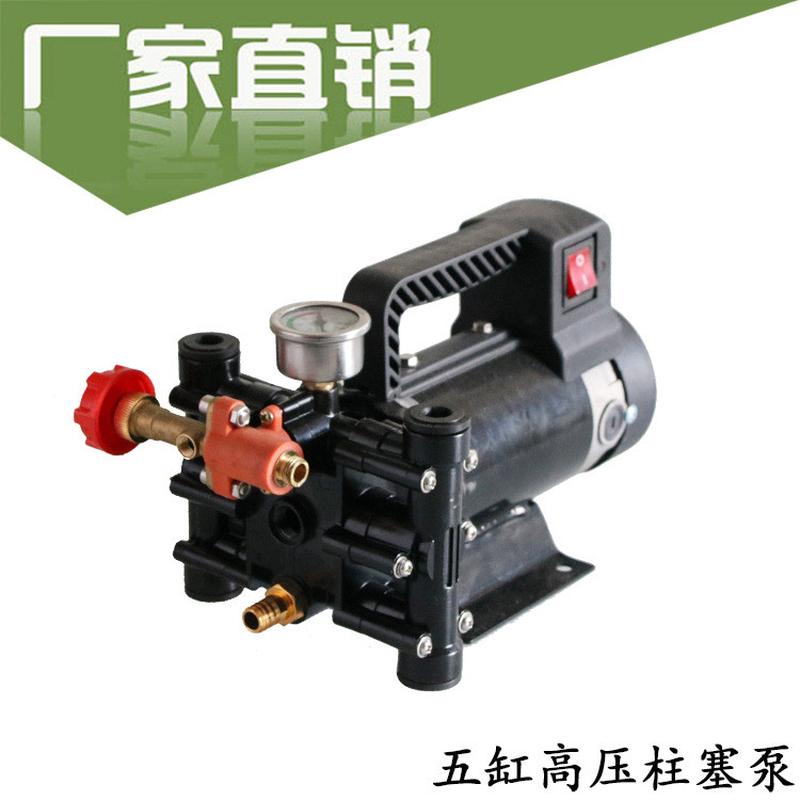 直流双缸柱塞泵电动车农用果树高压喷雾器打药机高压农用新式
