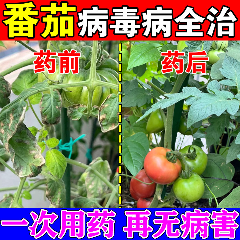 番茄病毒病专用药西红柿防裂果卷叶黄叶炭疽灰霉脐腐病菌清叶面肥,鲜花速递/花卉仿真/绿植园艺,家庭园艺肥料,淘宝优惠券,粉丝福利购,淘宝优惠卷
