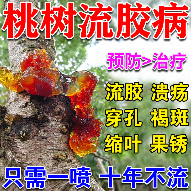 桃树流胶病专用药杏树李子树樱桃树流胶穿孔褐斑溃疡病专用杀菌剂,鲜花速递/花卉仿真/绿植园艺,家庭园艺肥料,淘宝优惠券,粉丝福利购,淘宝优惠卷