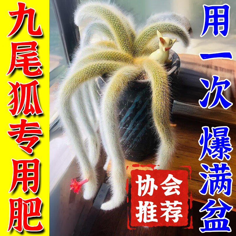 九尾狐专用肥多肉植物爆芽素营养液快速开花防黑腐烂根壮免稀释肥,鲜花速递/花卉仿真/绿植园艺,家庭园艺肥料,淘宝优惠券,粉丝福利购,淘宝优惠卷