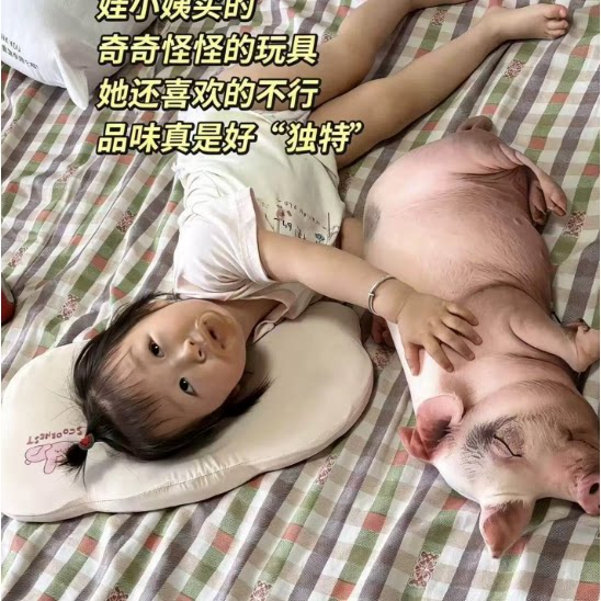 可爱仿真小猪毛绒抱枕陪睡礼物
