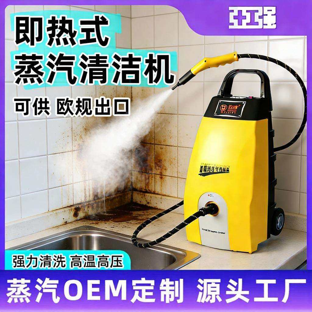 蒸汽清洗机多功能厨房油污高温清洗地毯沙发床垫除菌清洁机蒸气