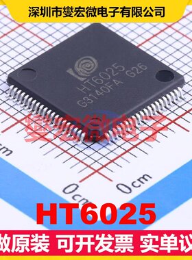 HT6025 LQFP-80(12x12) MCU/MPU/SOC微处理器控制器