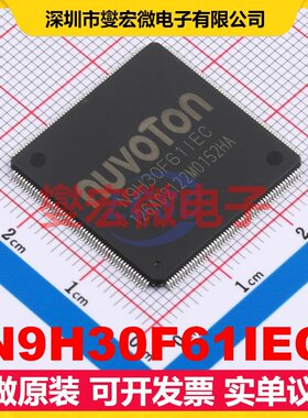 N9H30F61IEC LQFP-216(24x24) MCU/MPU/SOC微处理器控制器