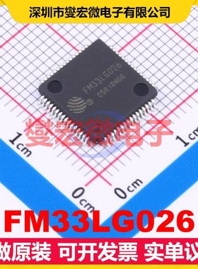 FM33LG026 LQFP-64(10x10) MCU/MPU/SOC微处理器控制器