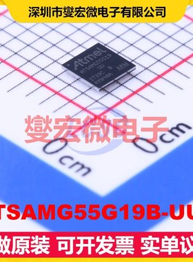 ATSAMG55G19B-UUT WLCSP-49(2.8x2.8) MCU/MPU/SOC微处理器控制
