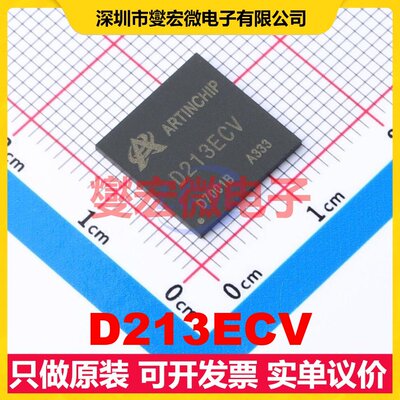 D213ECV QFN-128(12.3x12.3mm) MCU/MPU/SOC微处理器控制器