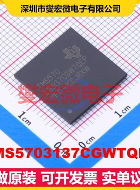 TMS5703137CGWTQEP NFBGA-337 MCU/MPU/SOC微处理器控制器