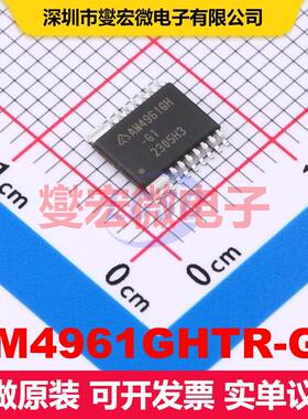 AM4961GHTR-G1 HTSSOP-14 电机驱动器/控制器 电源管理 集成芯片I