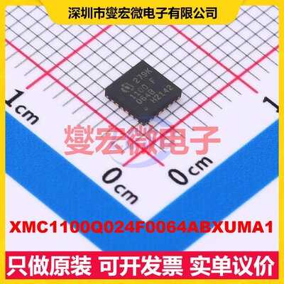 XMC1100Q024F0064ABXUMA1 VQFN-24-EP(4x4) MCU/MPU/SOC微处理