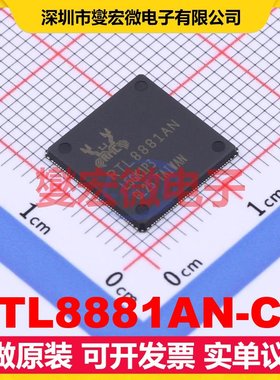 RTL8881AN-CG QFN-164 MCU/MPU/SOC微处理器控制器