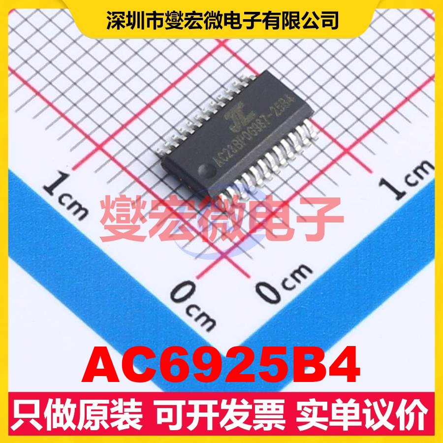 AC6925B4 QSOP-24 DSP/DSC数字信号处理器