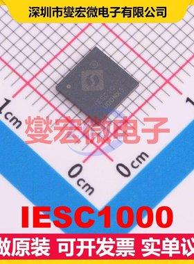 IESC1000 TQFN-48(6x6) MCU/MPU/SOC微处理器控制器