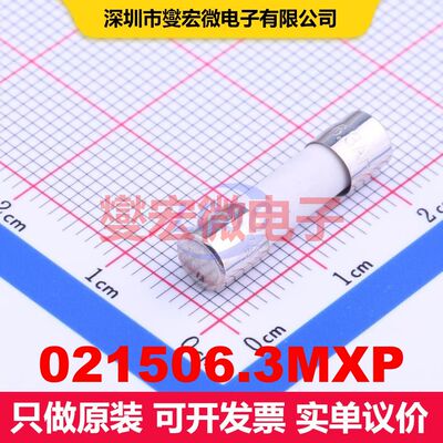 021506.3MXP D5.2xL20mm 保险丝 电路保护