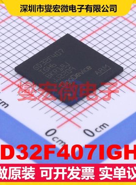 GD32F407IGH6 BGA-176 MCU/MPU/SOC微处理器控制器
