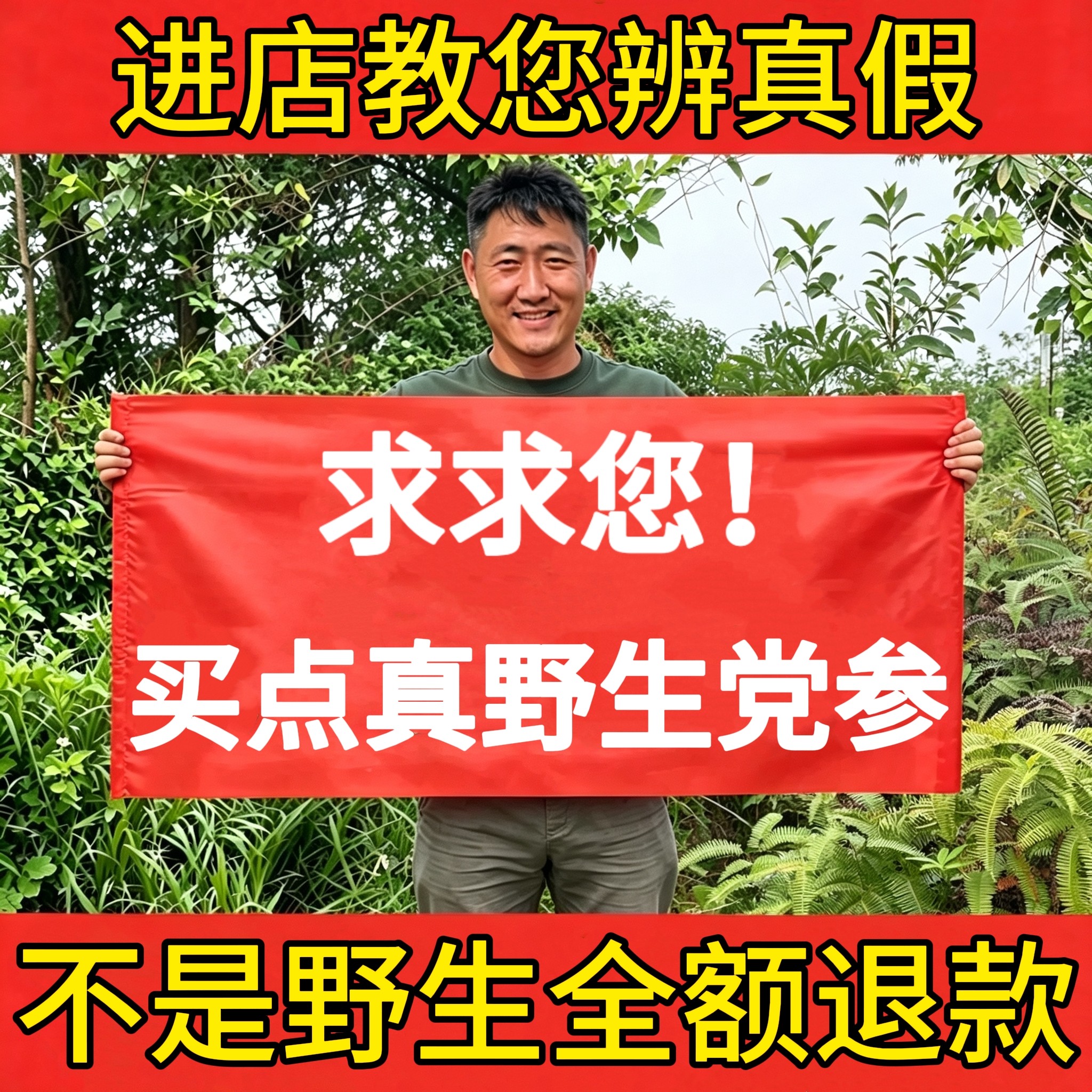 深山纯野生党参500g中药材正宗野生精选大条无硫干货可切断泡茶水