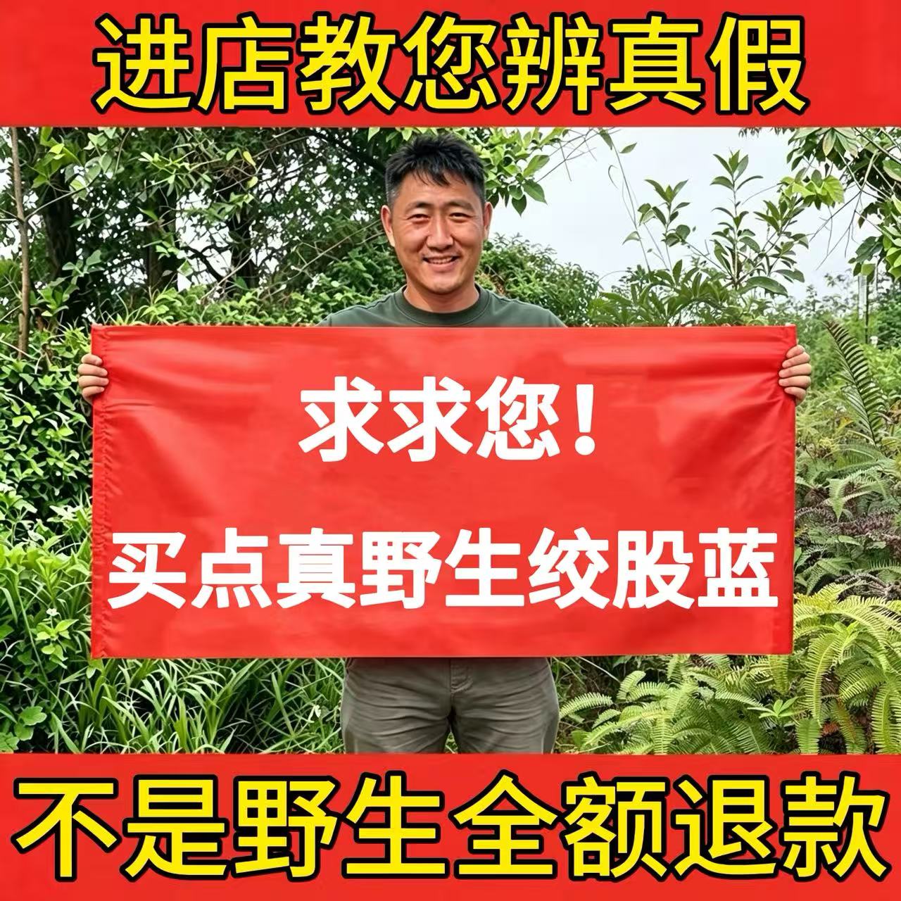 纯野生绞股蓝中药材500g正品嫩叶嫩芽七叶绞股蓝茶绿茶甘味养生茶