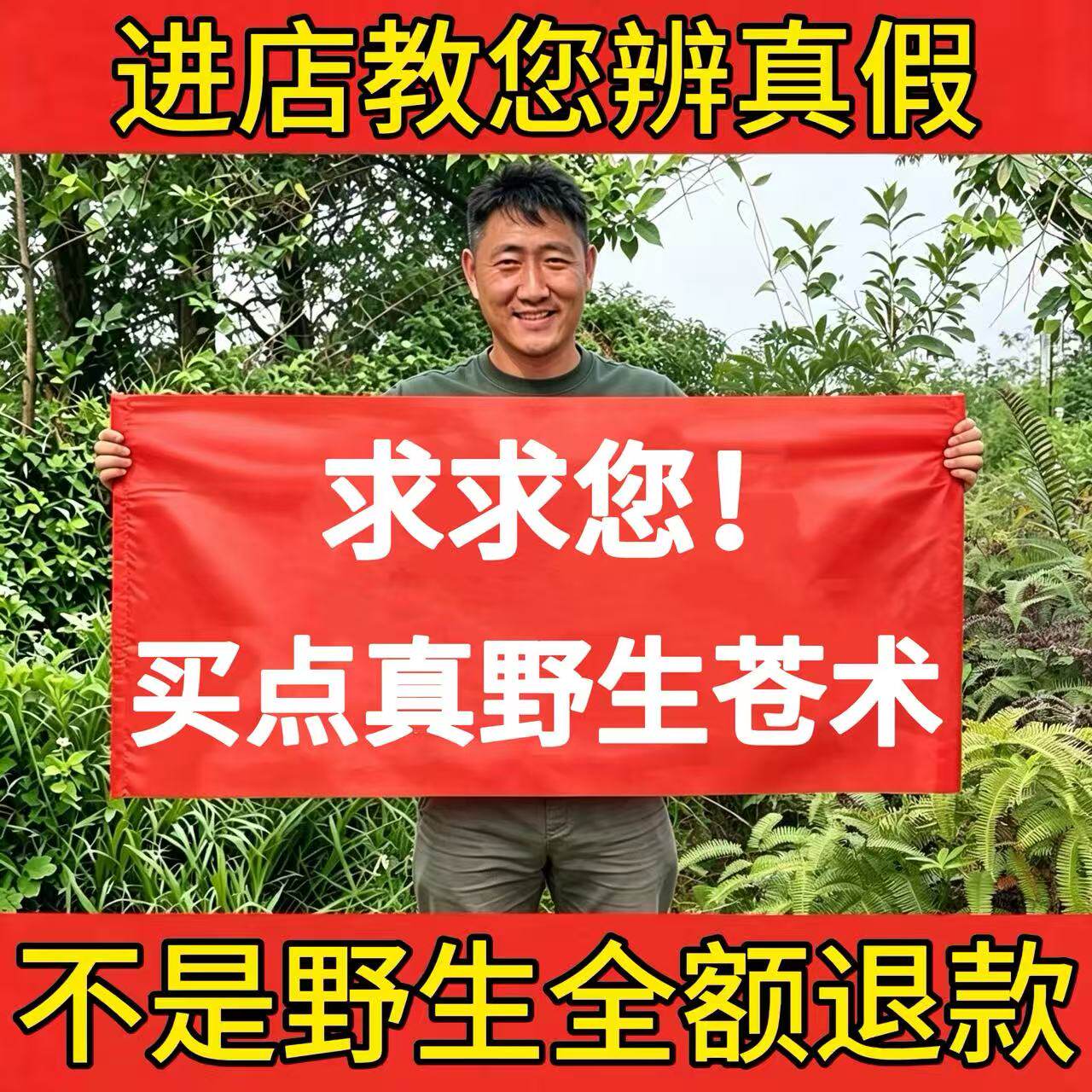 深山纯野生苍术250g中药材正品茅苍术北苍术片白霜白毛术养生滋补