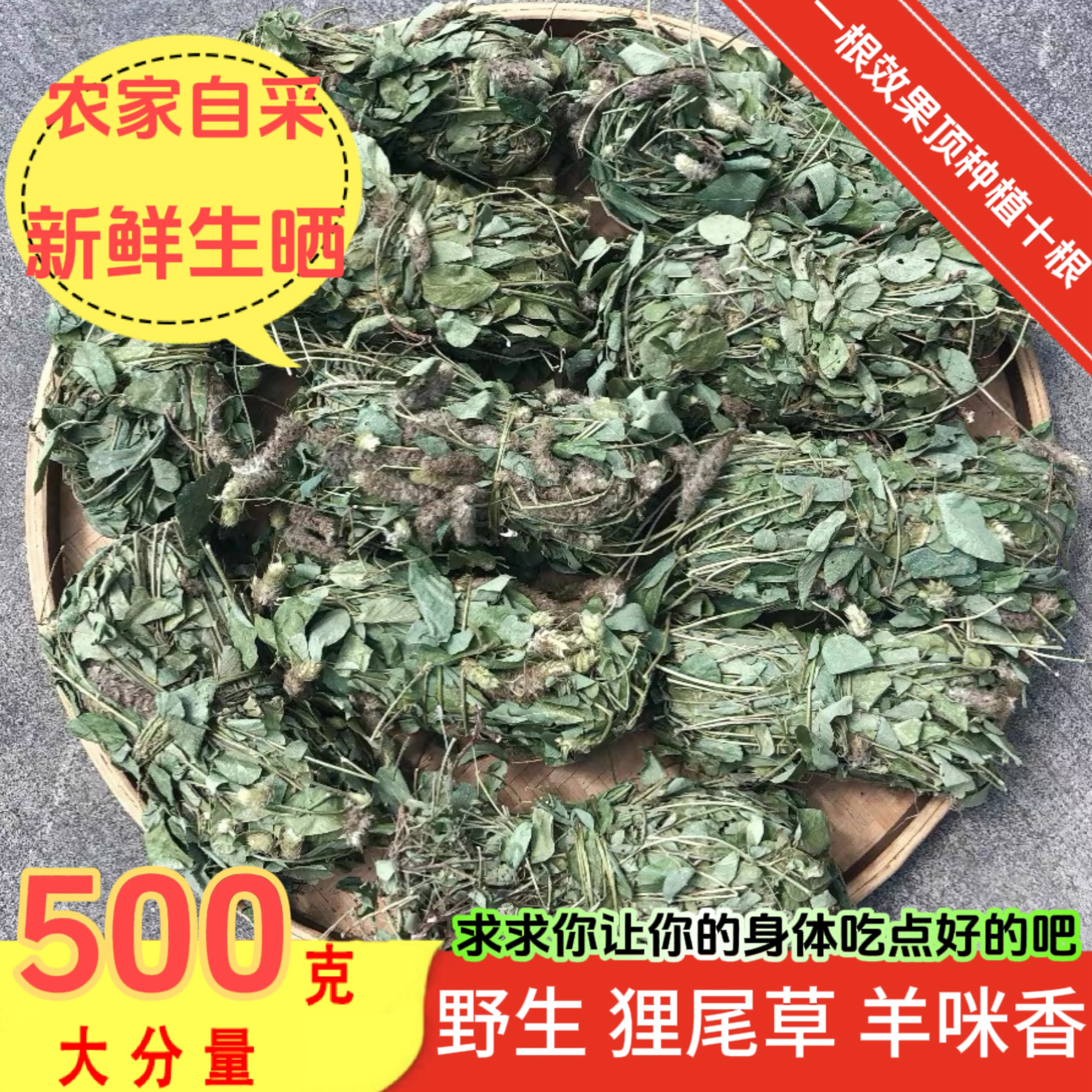 广东正宗野生狸尾草羊咩香干货狐狸尾巴草药益肝草养肝护肝中药材