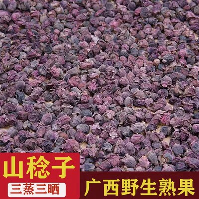 【真野生】今年新货山稔子桃金娘