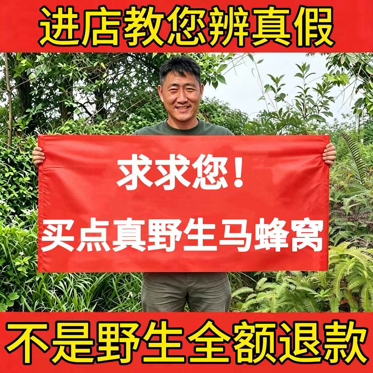 天然野生正品野蜂窝马蜂窝露蜂房中药材100g黄蜂窝山蜂房老蜂巢粉