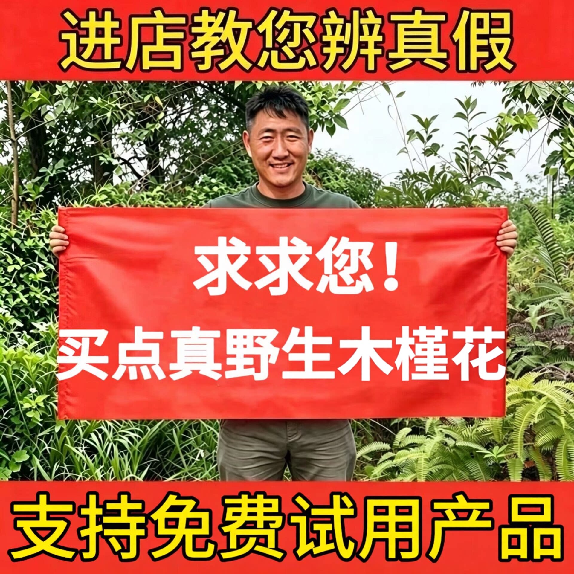 深山野生木槿花中药材新货正品白木金花天然正宗白锦花白玉花泡茶